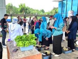 Pelatihan Budidaya Hydroponik Dispersip Tanah Bumbu