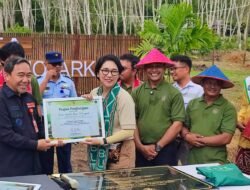 Desa Batulicin Irigasi Sabet Beragam Penghargaan,Terbaru Sebagai Desa  Agro Technopark Jadi Incaran Juara Nasional