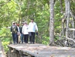 Pemkab Tanah Bumbu Kembangkan Destinasi Desa Wisata Magrove Angsana