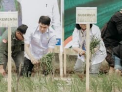 Tanam Padi Serentak Bersama Presiden, Kegiatan di Kalsel Dipusatkan di Tanbu dan Dipimpin Bupati Andi Rudi Latif