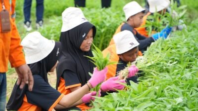 Education Trip CLC,PT Borneo Indobara Ajak Pelajar SD Mengenal Tanaman Hortikultura dan Ternak