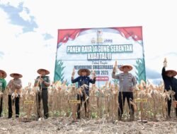 Bupati Andi Rudi Latif Panen Raya Jagung Serentak Nasional: Dukung Swasembada Pangan
