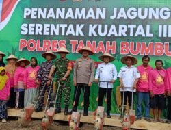Pemkab Tanbu Tanam Jagung Serentak Kuartal III, Dukung Ketahanan Pangan Nasional