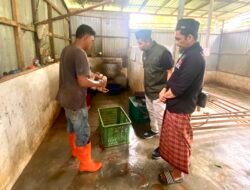 DPD Juleha Tanah Bumbu Pantau Tempat Pemotongan Unggas di Kawasan Lapangan 5 Oktober