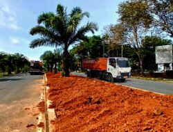 Kawasan Perkantoran Tanah Bumbu Akan Dibuat Lebih Hijau