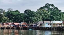 Anggota DPRD Tanah Bumbu Tinjau Penerangan Listrik di Desa Pulau Burung