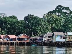 Anggota DPRD Tanah Bumbu Tinjau Penerangan Listrik di Desa Pulau Burung