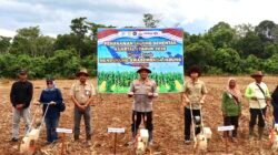 Kapolres Tanah Bumbu Ikuti Zoom Meeting Penanaman Jagung dan Penandatanganan MoU KUR Bersama Kapolri