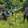 Polisi Evakuasi Penemuan Mayat Pria di Perkebunan Satui