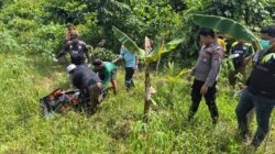Polisi Evakuasi Penemuan Mayat Pria di Perkebunan Satui