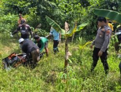 Polisi Evakuasi Penemuan Mayat Pria di Perkebunan Satui