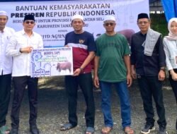 Bupati Andi Rudi Latif Salurkan Sapi Kurban Presiden Berbobot 1 Ton