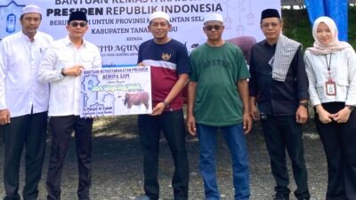 Bupati Andi Rudi Latif Salurkan Sapi Kurban Presiden Berbobot 1 Ton