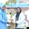 Pemkab Tanah Bumbu Distribusikan Bibit Tanaman Penghijauan