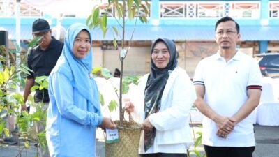 Pemkab Tanah Bumbu Distribusikan Bibit Tanaman Penghijauan