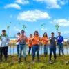 PT Borneo Indobara dan Mitra Kerja Tanam 1.000 Bibit Mangrove di Pantai Bunati Peringati Hari Mangrove Sedunia 2026