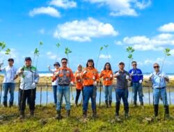 PT Borneo Indobara dan Mitra Kerja Tanam 1.000 Bibit Mangrove di Pantai Bunati Peringati Hari Mangrove Sedunia 2026