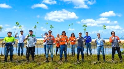 PT Borneo Indobara dan Mitra Kerja Tanam 1.000 Bibit Mangrove di Pantai Bunati Peringati Hari Mangrove Sedunia 2026