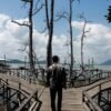 Bupati Andi Rudi Latif Dorong Wisata Mangrove Kersik Putih Jadi Ikon Wisata Tanah Bumbu