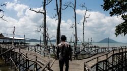 Bupati Andi Rudi Latif Dorong Wisata Mangrove Kersik Putih Jadi Ikon Wisata Tanah Bumbu