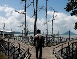 Bupati Andi Rudi Latif Dorong Wisata Mangrove Kersik Putih Jadi Ikon Wisata Tanah Bumbu