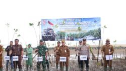 Tanah Bumbu Tanam 1.000 Mangrove Peringati HUT ke-81 TNI