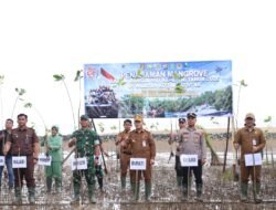 Tanah Bumbu Tanam 1.000 Mangrove Peringati HUT ke-81 TNI