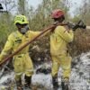 PT Borneo Indobara Terjunkan Tim ERT Penanganan Karhutla Kalsel