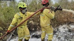 PT Borneo Indobara Terjunkan Tim ERT Penanganan Karhutla Kalsel