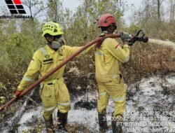 PT Borneo Indobara Terjunkan Tim ERT Penanganan Karhutla Kalsel